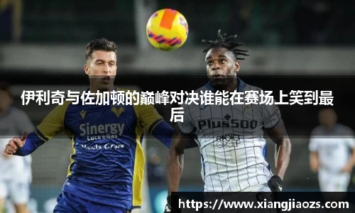 伊利奇与佐加顿的巅峰对决谁能在赛场上笑到最后